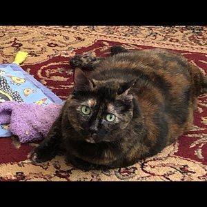 Meet your Posher, Linda